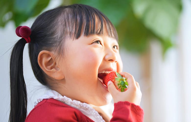 用途に合わせた、きめ細かなご提案